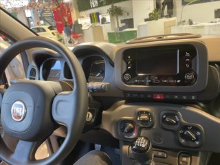 FIAT Panda 1.0 firefly hybrid s&s 70cv KM0 5 Posti