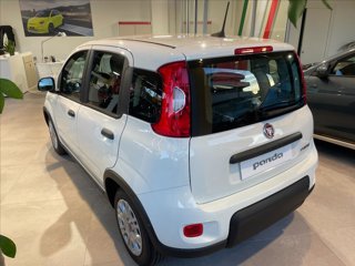 FIAT Panda 1.0 firefly hybrid s&s 70cv KM0 5 Posti