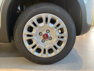 FIAT Panda 1.0 firefly hybrid s&s 70cv KM0 5 Posti