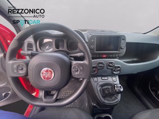 FIAT Panda Cross s&s  1.0 hybrid 70cv - Neopatentati