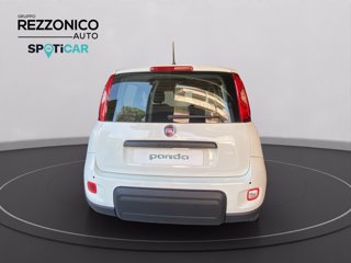 FIAT Panda My25 1.0 70cv Hybrid Pan