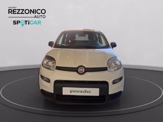 FIAT Panda My25 1.0 70cv Hybrid Pan
