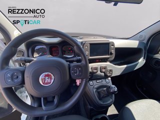 FIAT Pandina 1.0 firefly hybrid s&s 70cv CROSS - NEOPATENTATI