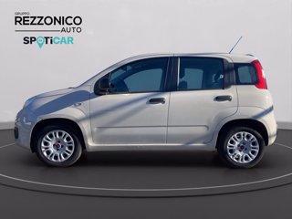FIAT Panda 1.2 Easy 69cv - OK NEOPATENTATI