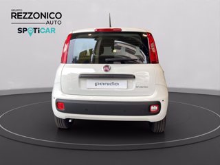 FIAT Pandina 1.0 firefly hybrid Pop s&s 70cv - PRONTA CONSEGNA