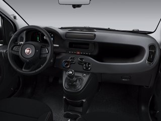 FIAT Pandina Van Pandina Van Icon 1