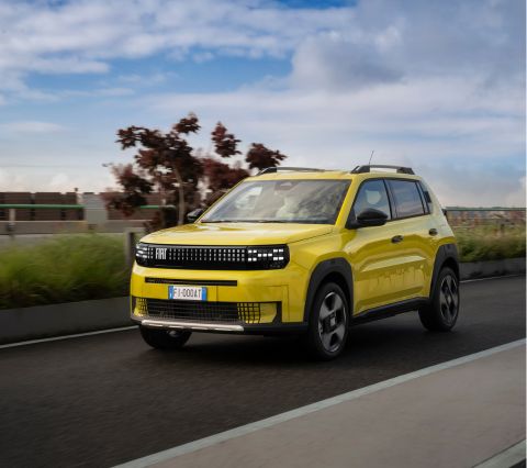 GRANDE PANDA ELETTRICA