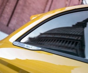 2977383 49Ptbgydfn Xlarge