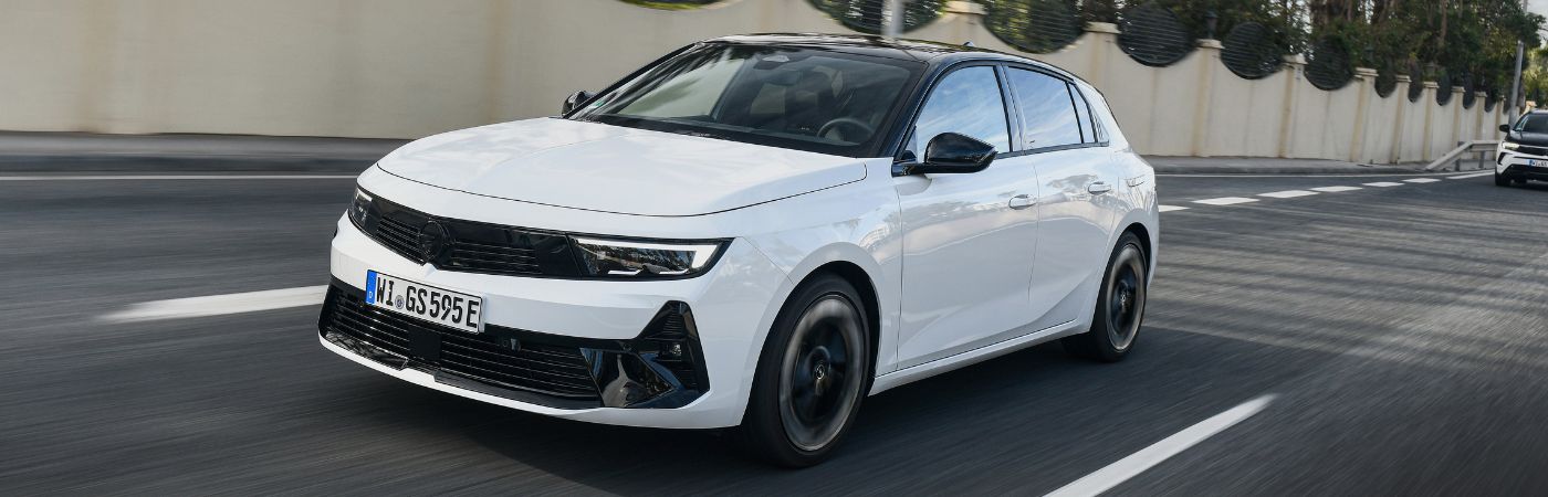Astra St Ibrida